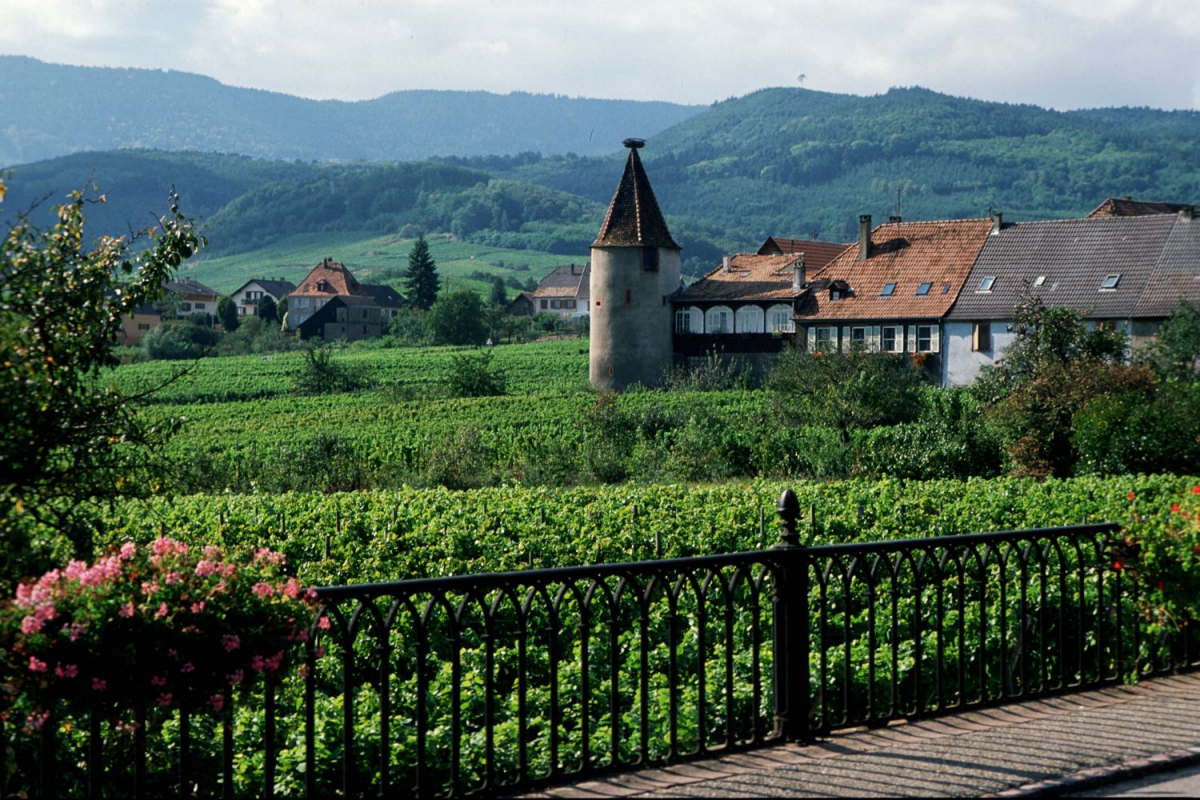 Les Portes d'Alsace Elsass - Saverne visuel 9/9 Les Portes d'Alsace Elsass - Saverne visuel 9/9