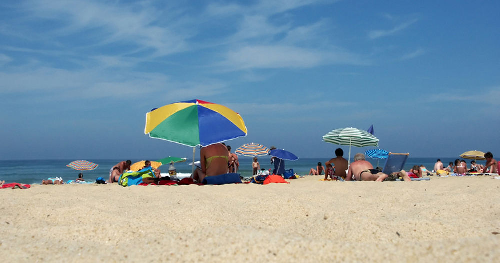 Les Prairies de L'Etang Das Loire-Gebiet - Assérac visuel 5/9