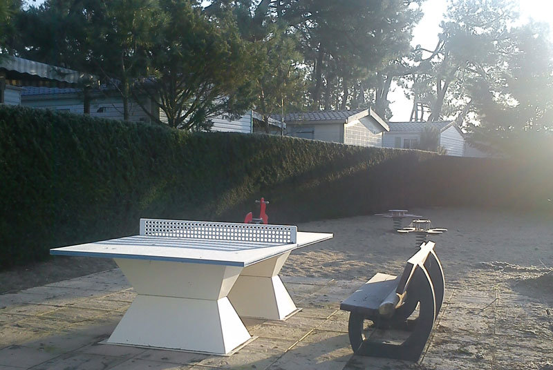 Les Prises Das Loire-Gebiet - La Tranche-sur-Mer visuel 7/11