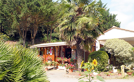Les Ramiers Das Loire-Gebiet - Longeville sur Mer visuel 1/1