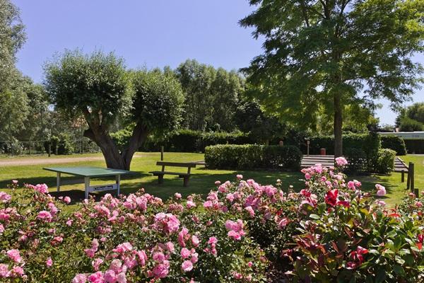 Les Résidences La Becque Nord-Pas de Calais - Warhem visuel 7/9 Les Résidences La Becque Nord-Pas de Calais - Warhem visuel 7/9
