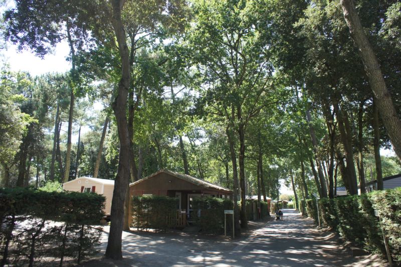 Les Rochelets Das Loire-Gebiet - Saint-Brévin-les-Pins visuel 5/8 Les Rochelets Das Loire-Gebiet - Saint-Brévin-les-Pins visuel 5/8