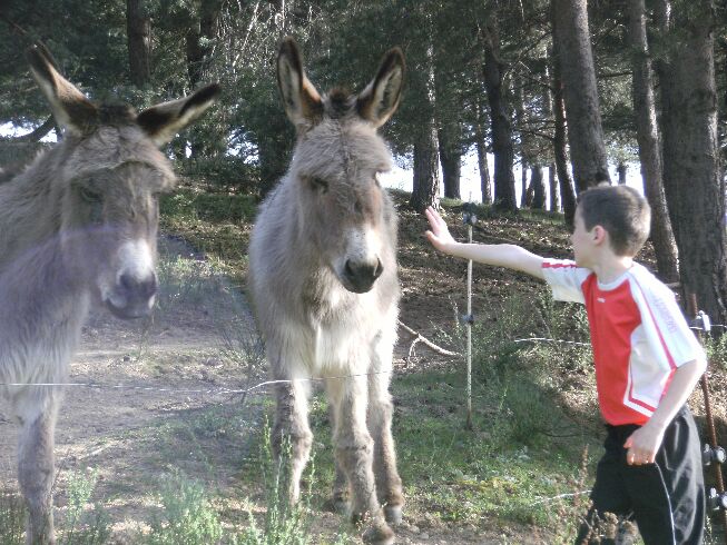 Les Rôches Rhône-Alpen - Le Crestet visuel 8/11 Les Rôches Rhône-Alpen - Le Crestet visuel 8/11