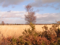 Les Roulottes des Korrigans Bretagne - Brasparts visuel 4/10 Les Roulottes des Korrigans Bretagne - Brasparts visuel 4/10