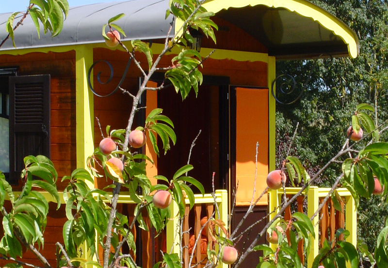 Les Roulottes du Sud Ouest Aquitanien - Saint-Salvy visuel 1/2