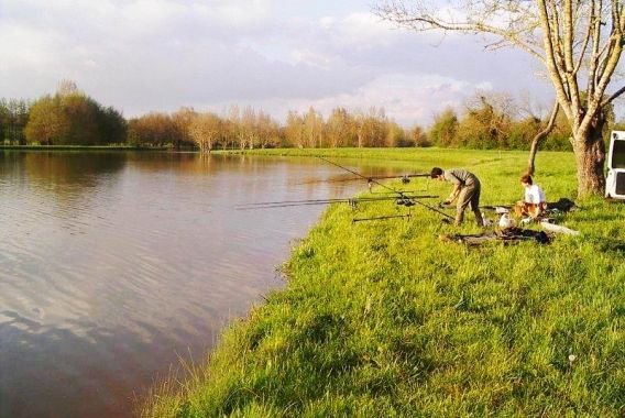 Les Rulières Das Loire-Gebiet - Saint-Valérien visuel 4/5