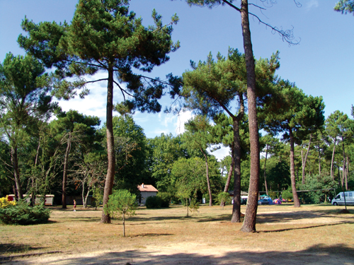 Les Sables de Cordouan Poitou-Charentes - Les Mathes-La Palmyre visuel 4/10 Les Sables de Cordouan Poitou-Charentes - Les Mathes-La Palmyre visuel 4/10