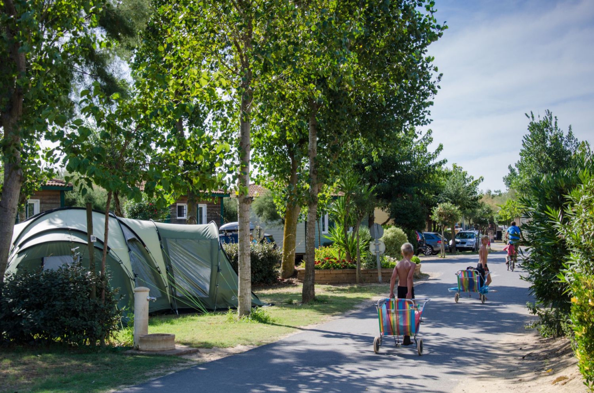 Les Sablons Languedoc-Roussillon - Portiragnes visuel 25/25