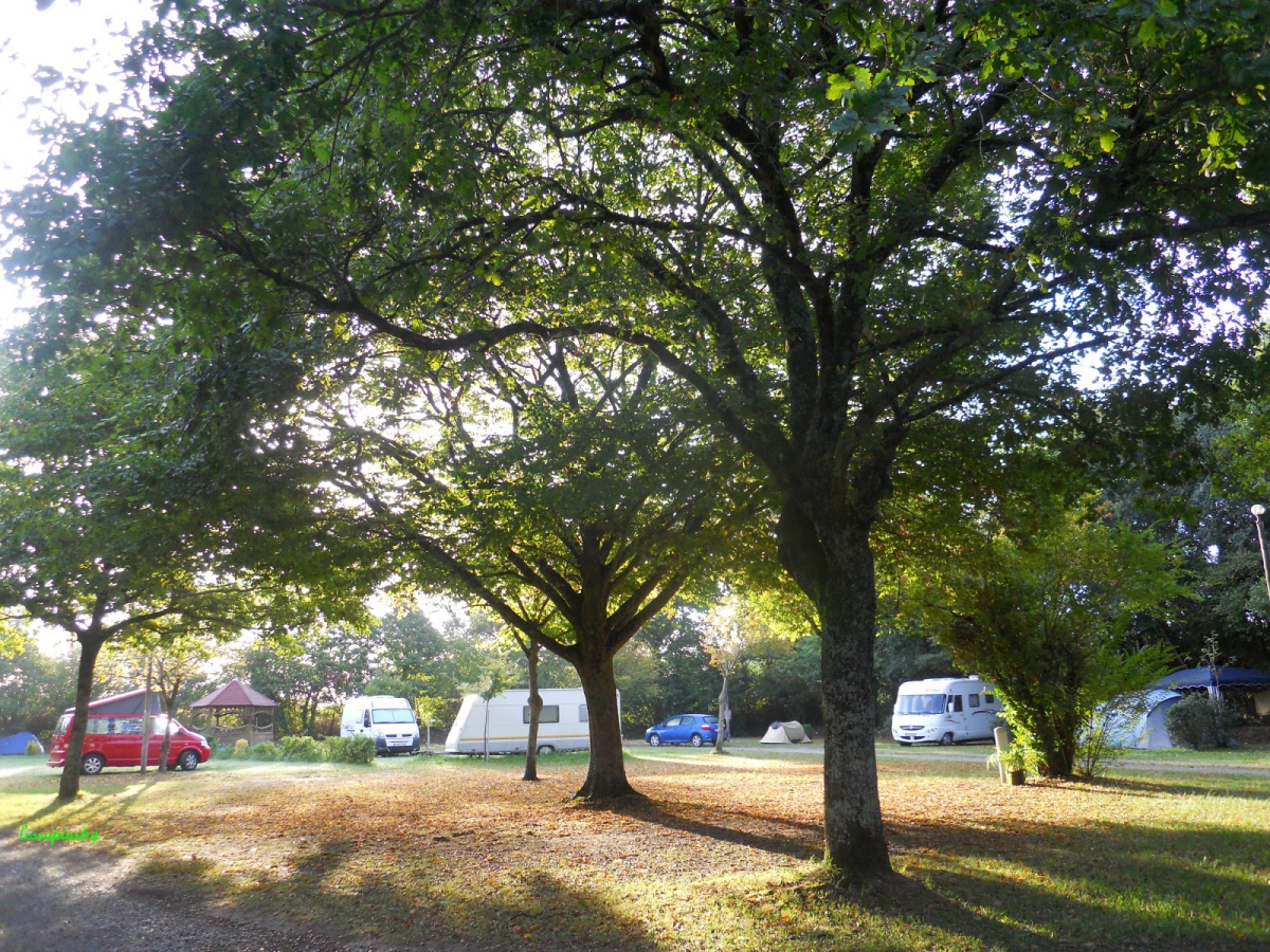 Les Sapins Aquitanien - Ousse visuel 1/1
