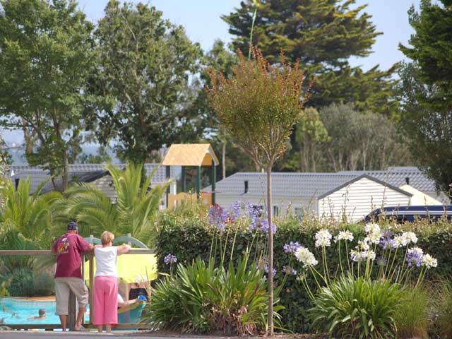 Les Saules Bretagne - La Forêt-Fouesnant visuel 3/10 Les Saules Bretagne - La Forêt-Fouesnant visuel 3/10