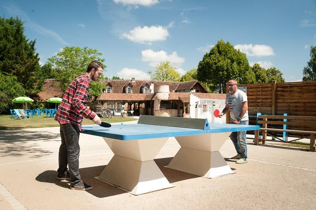 Les Saules Großes Zentrum - Cheverny visuel 5/11 Les Saules Großes Zentrum - Cheverny visuel 5/11