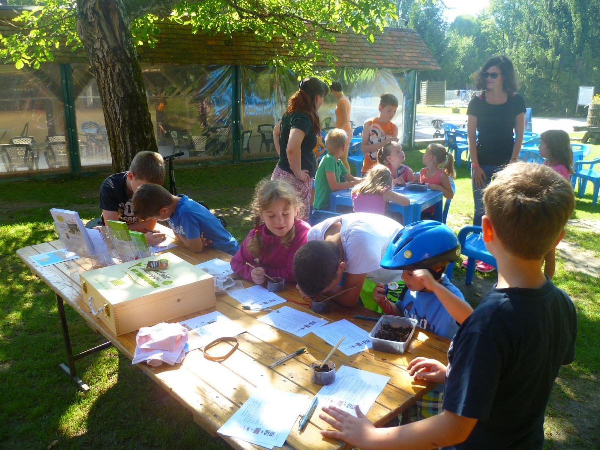 Les Saules Großes Zentrum - Cheverny visuel 7/11 Les Saules Großes Zentrum - Cheverny visuel 7/11