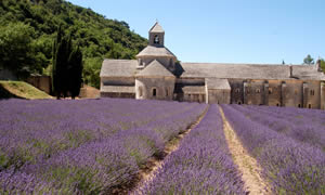 Les Sources Provence-Alpes-Côte d'Azur - Gordes visuel 7/9 Les Sources Provence-Alpes-Côte d'Azur - Gordes visuel 7/9