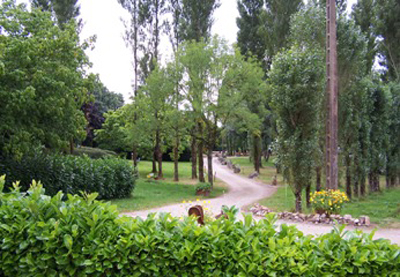 Les Tournesols Das Loire-Gebiet - Le Grez visuel 2/5