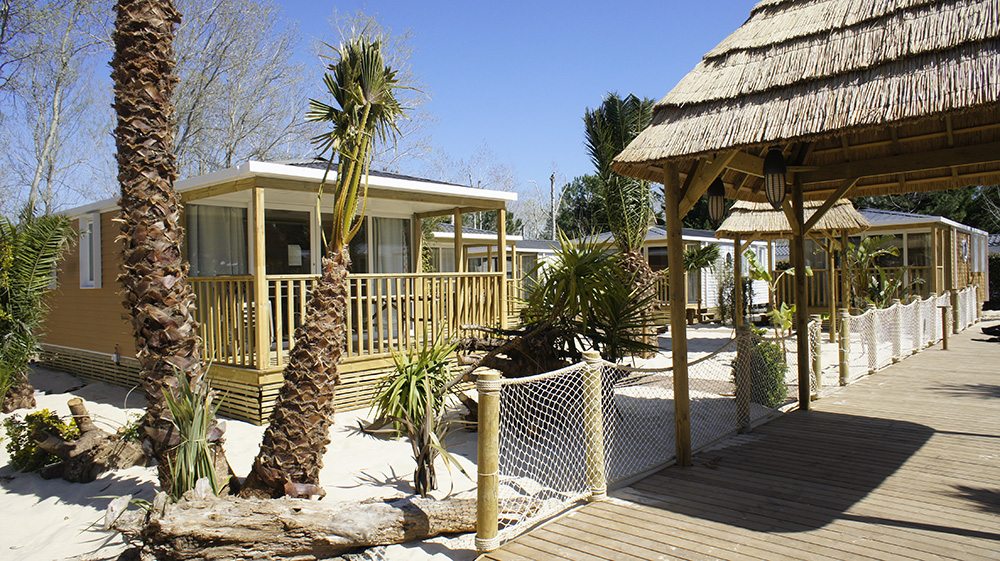 Les Vagues Languedoc-Roussillon - Vendres visuel 24/25 Les Vagues Languedoc-Roussillon - Vendres visuel 24/25