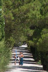 Les Verguettes Provence-Alpes-Côte d'Azur - Villes-sur-Auzon visuel 2/5 Les Verguettes Provence-Alpes-Côte d'Azur - Villes-sur-Auzon visuel 2/5