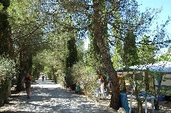 Les Verguettes Provence-Alpes-Côte d'Azur - Villes-sur-Auzon visuel 3/5 Les Verguettes Provence-Alpes-Côte d'Azur - Villes-sur-Auzon visuel 3/5