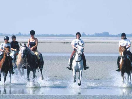 Les Vertes Feuilles Picardie - Quend visuel 9/11