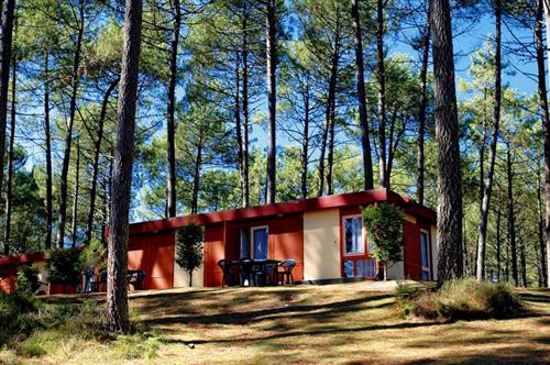 Les Villages sous les Pins Aquitanien - Léon visuel 2/10