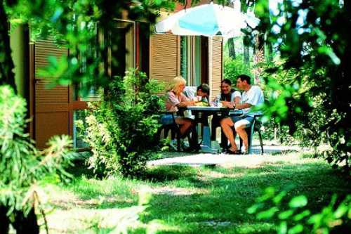 Les Villages sous les Pins Aquitanien - Léon visuel 4/10