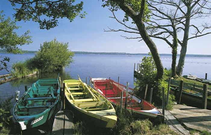 Les Villages sous les Pins Aquitanien - Léon visuel 10/10