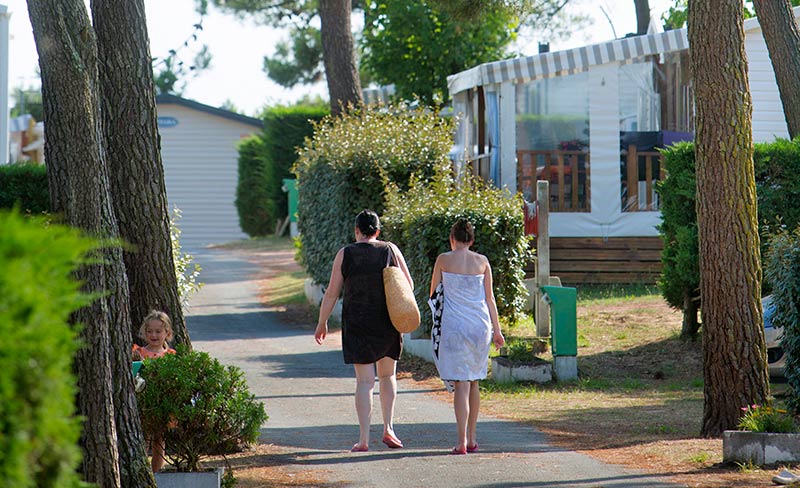 Les Violettes Das Loire-Gebiet - La Faute-sur-Mer visuel 10/12 Les Violettes Das Loire-Gebiet - La Faute-sur-Mer visuel 10/12