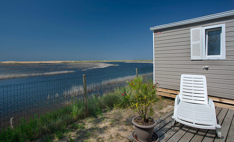 Les Violettes Das Loire-Gebiet - La Faute-sur-Mer visuel 11/12 Les Violettes Das Loire-Gebiet - La Faute-sur-Mer visuel 11/12