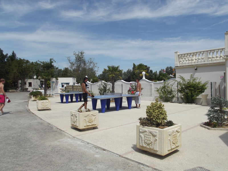L'Estuaire Poitou-Charentes - Saint-Thomas-de-Cônac visuel 2/3 L'Estuaire Poitou-Charentes - Saint-Thomas-de-Cônac visuel 2/3