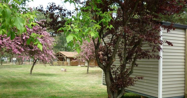 L'Estuaire Das Loire-Gebiet - Paimboeuf visuel 3/10