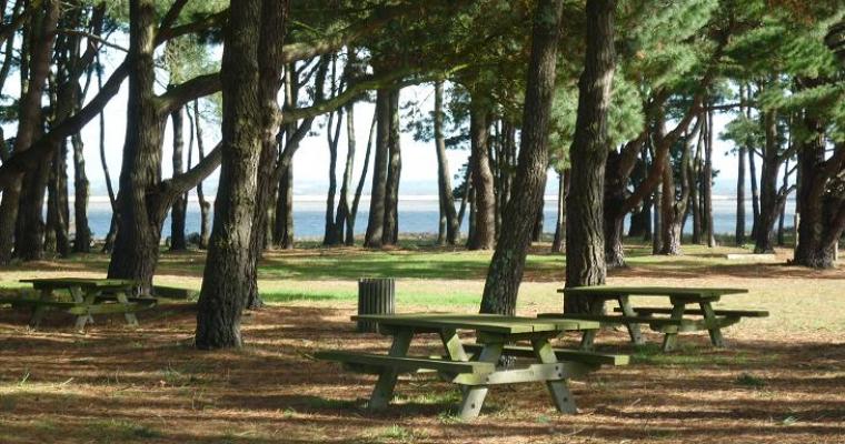 L'Estuaire Das Loire-Gebiet - Paimboeuf visuel 5/10