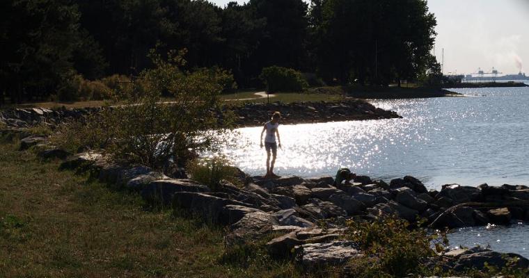 L'Estuaire Das Loire-Gebiet - Paimboeuf visuel 7/10