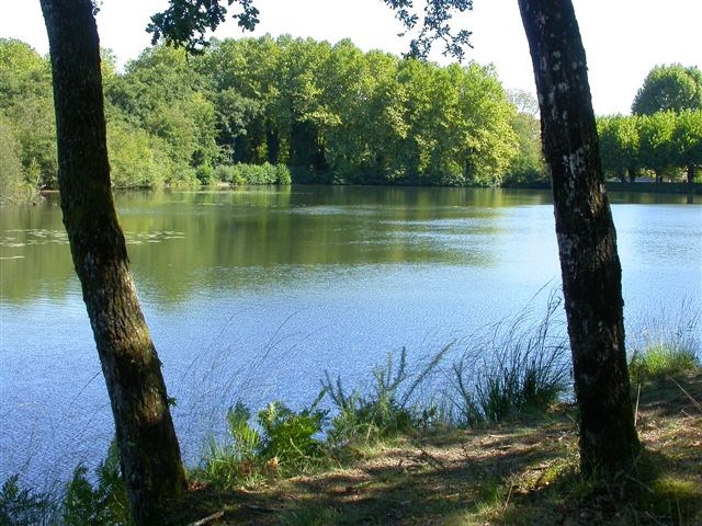 L'Etang d'Ardy Aquitanien - Saint-Paul-lès-Dax visuel 2/3