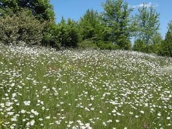Les Portes du Morvan Burgunder - Issy-l'Évêque visuel 8/9 Les Portes du Morvan Burgunder - Issy-l'Évêque visuel 8/9