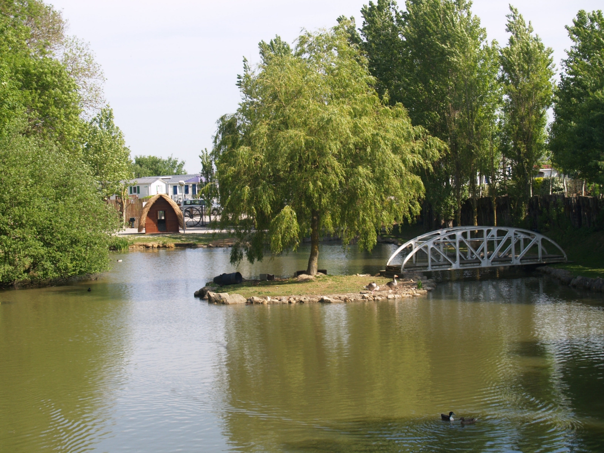L'Eté Indien Nord-Pas de Calais - Wimereux visuel 2/8 L'Eté Indien Nord-Pas de Calais - Wimereux visuel 2/8