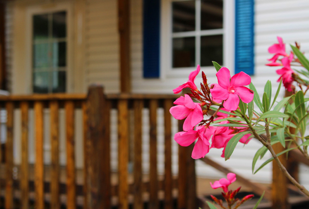 L'Evasion Languedoc-Roussillon - Fontès visuel 1/1