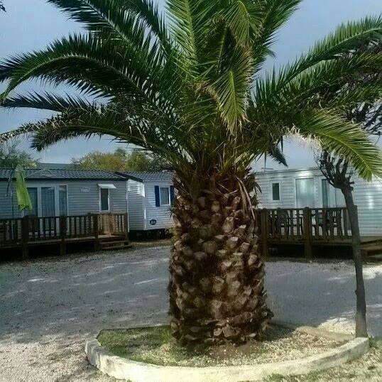 L'Horizon Languedoc-Roussillon - Frontignan visuel 1/1