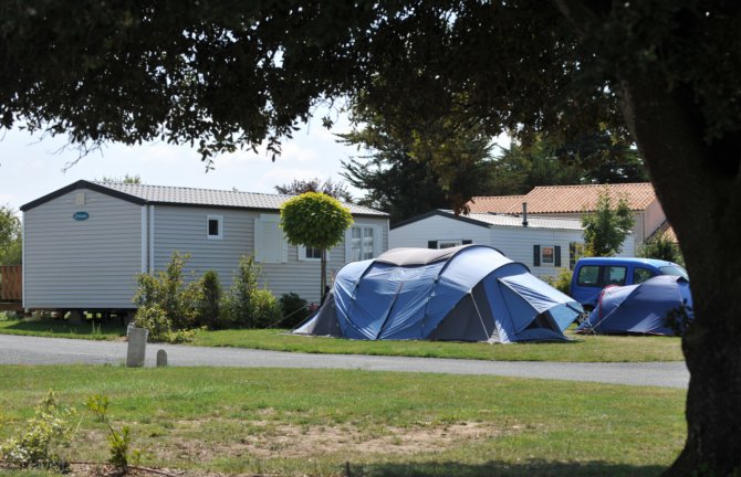 L'ile aux Oiseaux Das Loire-Gebiet - L'Île-d'Olonne visuel 5/8