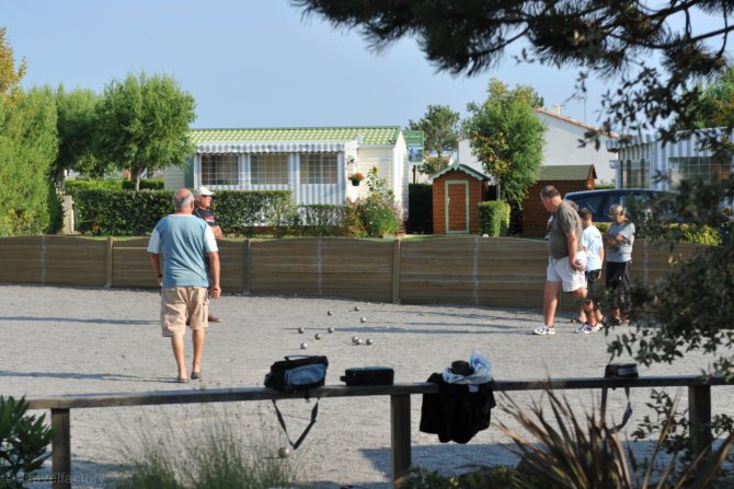 L'ile aux Oiseaux Das Loire-Gebiet - L'Île-d'Olonne visuel 6/8