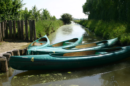 L'Ile Cariot Das Loire-Gebiet - Chaillé-les-Marais visuel 2/9 L'Ile Cariot Das Loire-Gebiet - Chaillé-les-Marais visuel 2/9