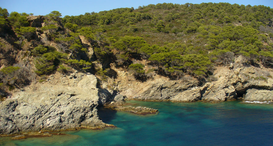 L'Ile d'Or Provence-Alpes-Côte d'Azur - Hyères visuel 31/32 L'Ile d'Or Provence-Alpes-Côte d'Azur - Hyères visuel 31/32