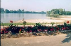 l'Île du Château Das Loire-Gebiet - Les Ponts-de-Cé visuel 6/7