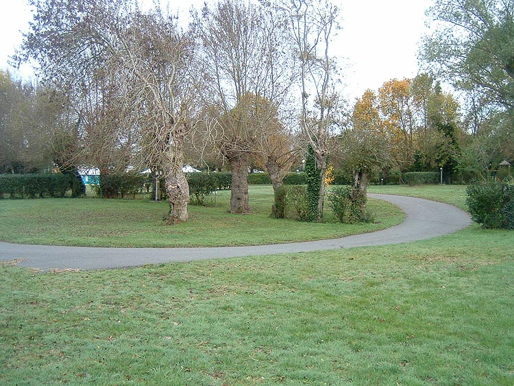 l'Ile Mouchet Das Loire-Gebiet - Ancenis visuel 3/7