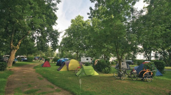 L'Isle Verte Das Loire-Gebiet - Montsoreau visuel 21/28 L'Isle Verte Das Loire-Gebiet - Montsoreau visuel 21/28