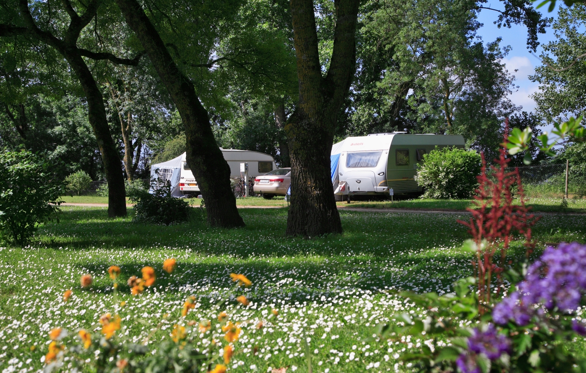 L'Isle Verte Das Loire-Gebiet - Montsoreau visuel 20/28 L'Isle Verte Das Loire-Gebiet - Montsoreau visuel 20/28