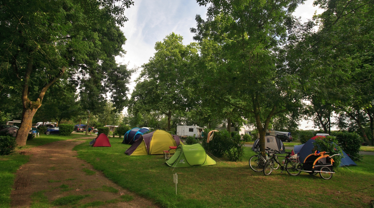 L'Isle Verte Das Loire-Gebiet - Montsoreau visuel 19/28 L'Isle Verte Das Loire-Gebiet - Montsoreau visuel 19/28