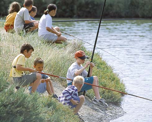 L'Océan Poitou-Charentes - La Couarde-sur-Mer visuel 4/11