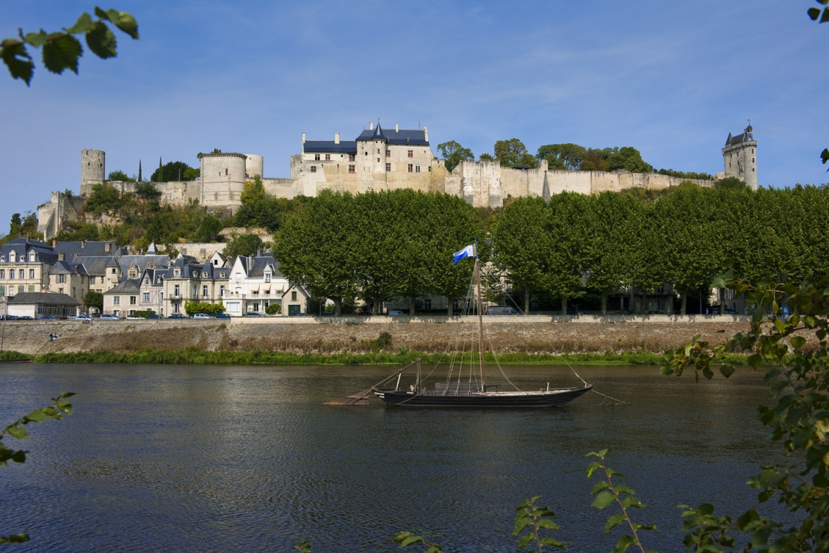 Loire et Châteaux Großes Zentrum - Bréhémont visuel 8/8 Loire et Châteaux Großes Zentrum - Bréhémont visuel 8/8