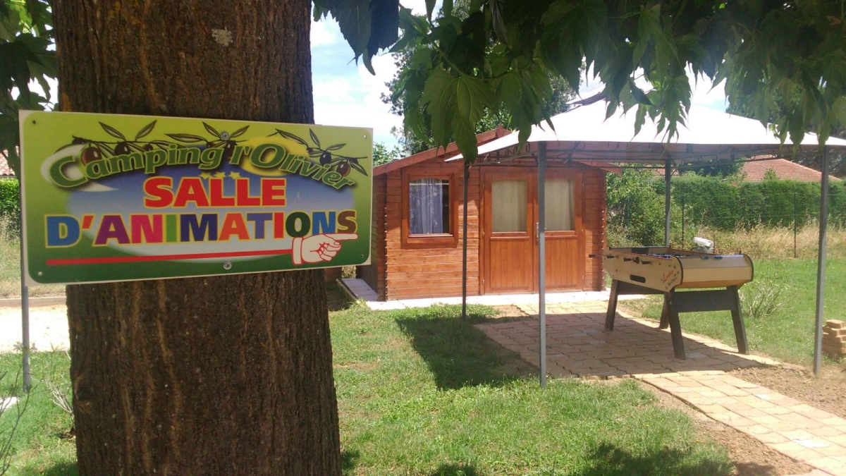 l'Olivier Languedoc-Roussillon - Massillargues-Attuech visuel 2/5