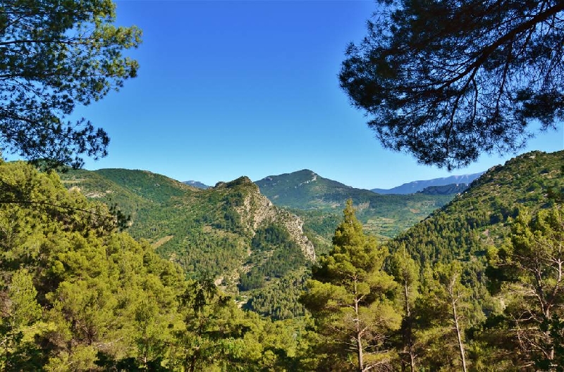 L'Orée de Provence Rhône-Alpen - Buis-les-Baronnies visuel 4/4 L'Orée de Provence Rhône-Alpen - Buis-les-Baronnies visuel 4/4