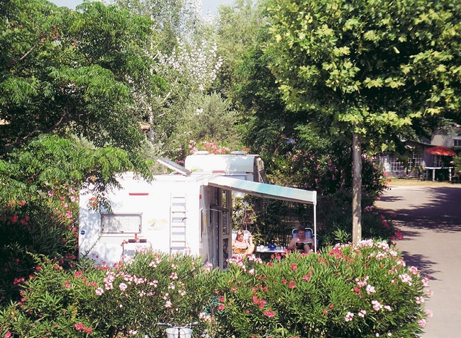 Lou Comtadou Provence-Alpes-Côte d'Azur - Carpentras visuel 2/10 Lou Comtadou Provence-Alpes-Côte d'Azur - Carpentras visuel 2/10